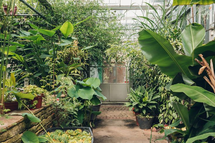 Bristol Botanic Gardens