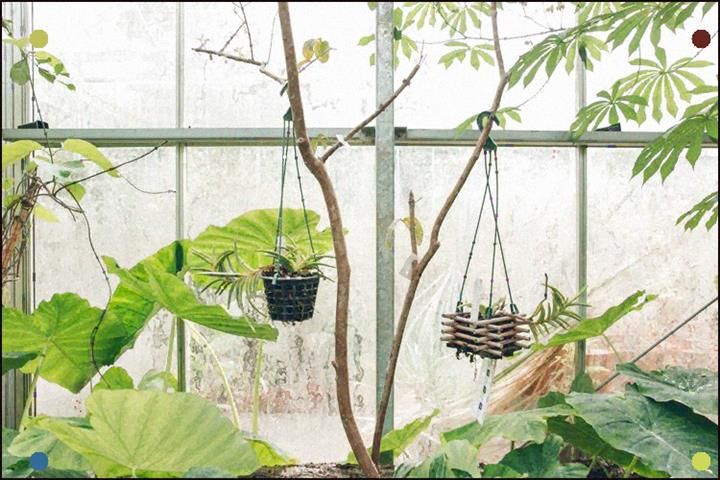 University Of Bristol Botanic Garden Botanical Gardens Garden