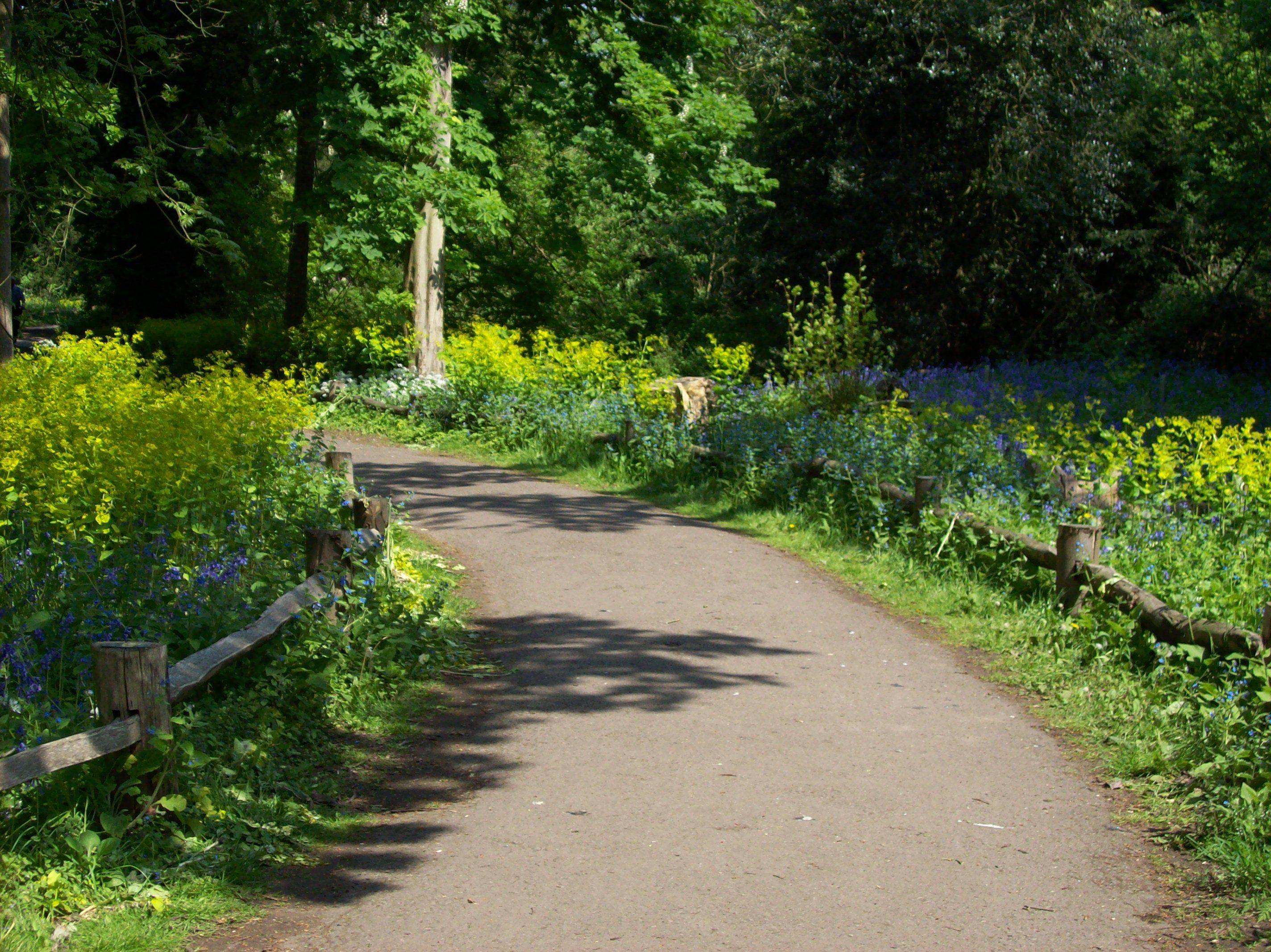 Dry Garden Cambridge Botanic Garden Dry Garden