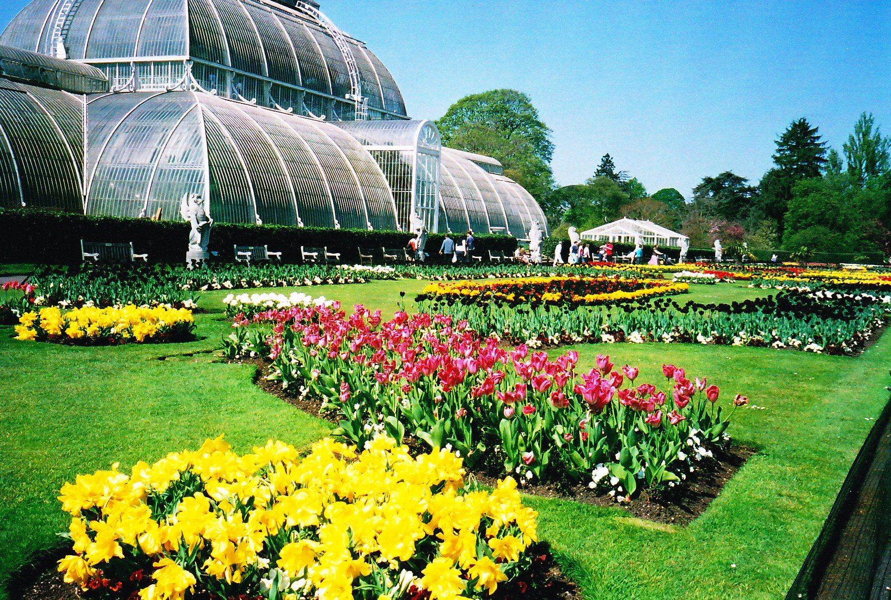 Kew Gardens Royal Botanic Gardens Uk Places Ideas