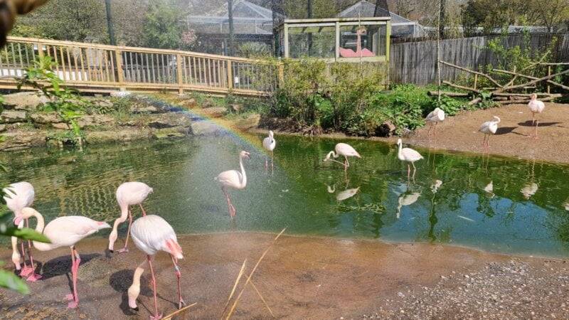 Bristol Zoo Gardens