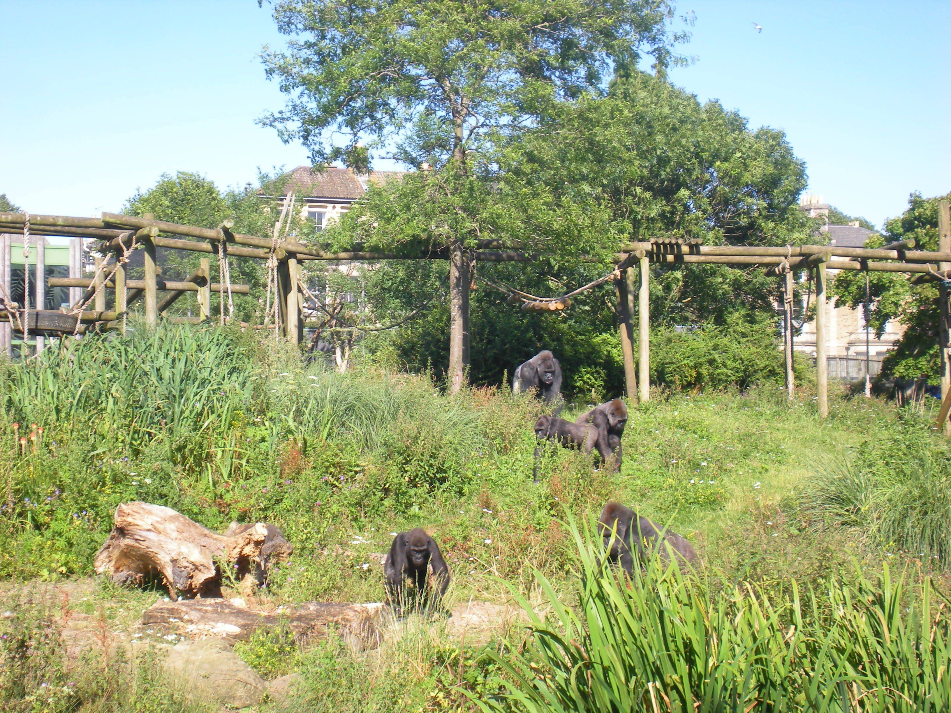 Bristol Zoo Gardens Tripadvisor