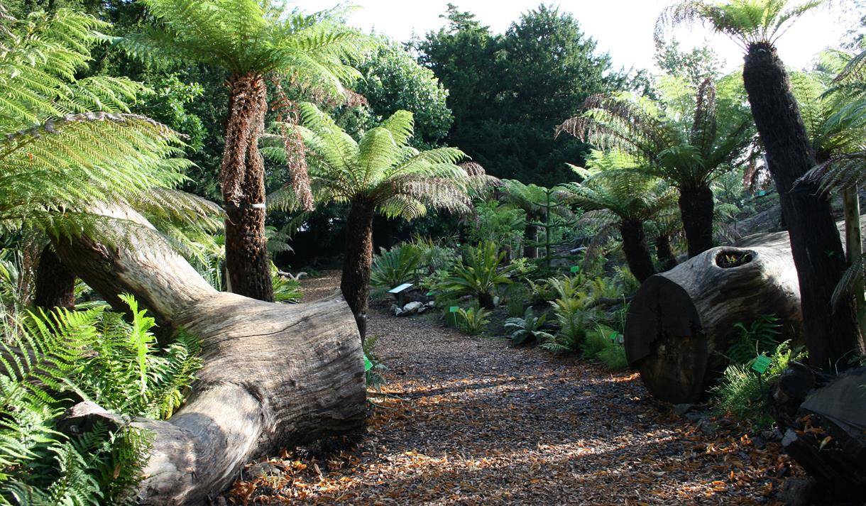 Auckland Botanic Gardens