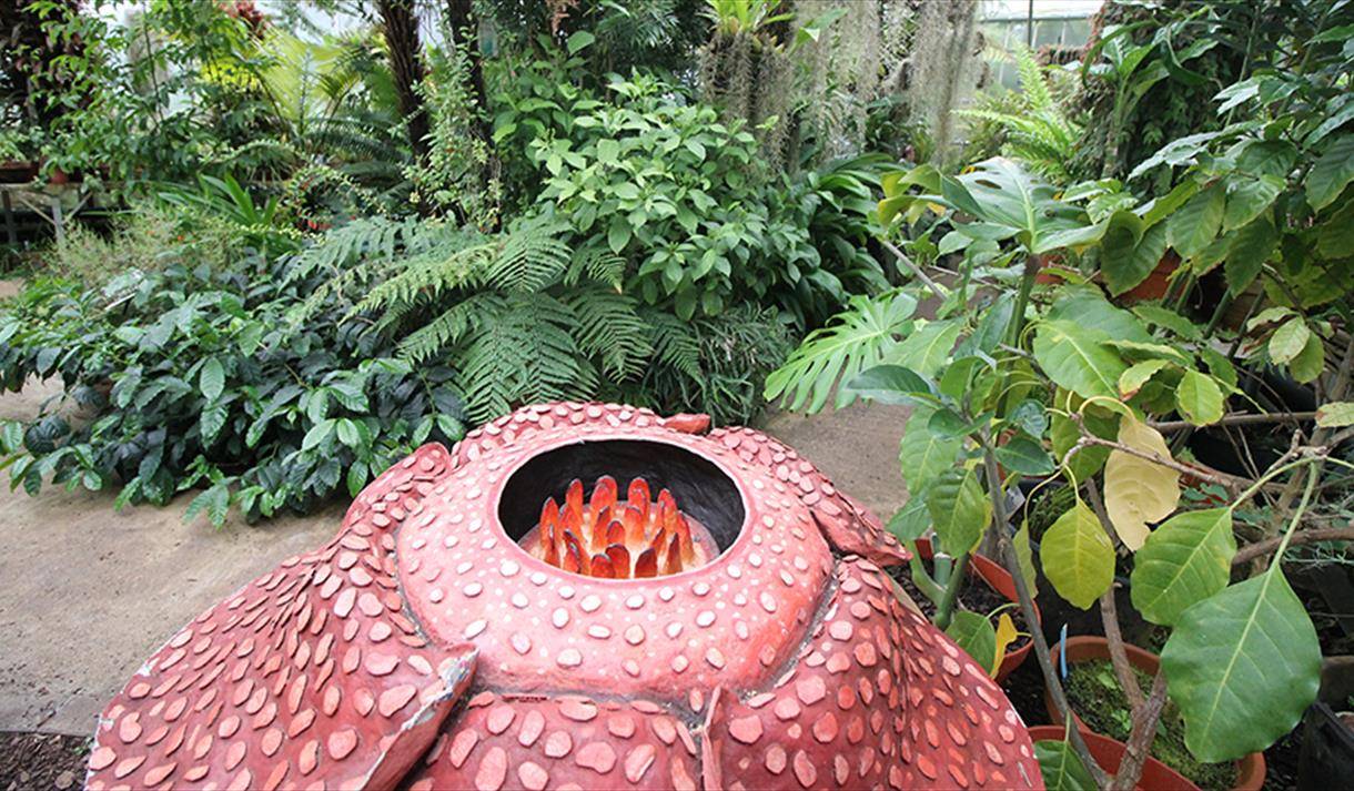 Bristol Botanic Garden