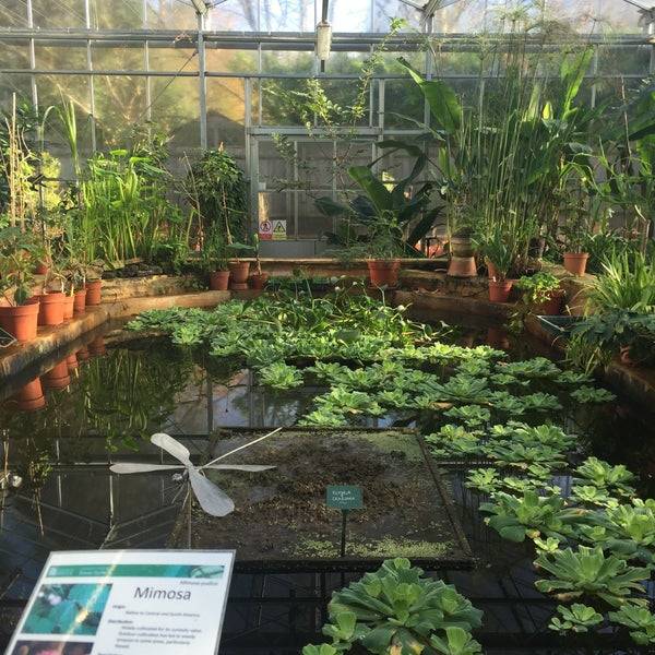Bristol Botanic Garden