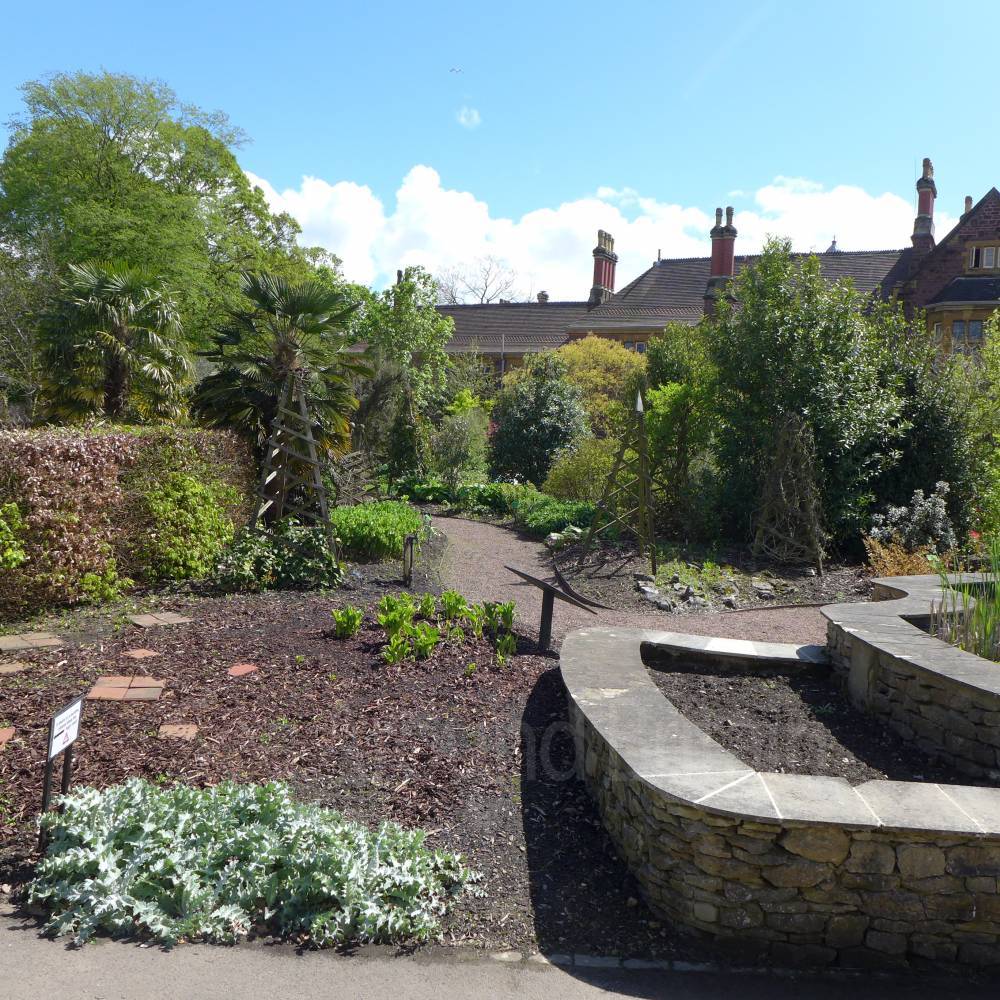 Bristol Botanic Garden