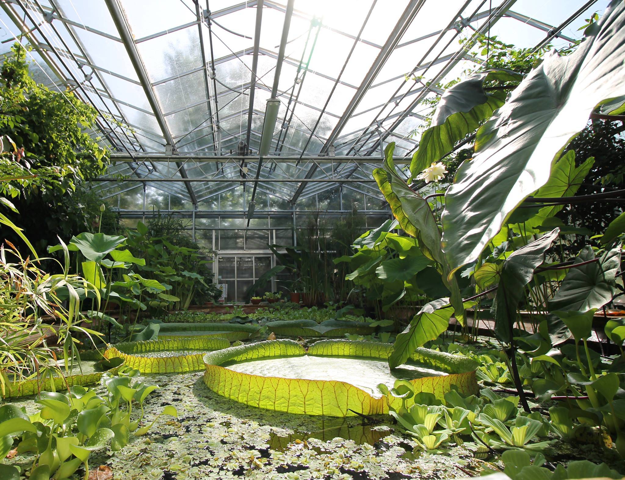 University Of Bristol Botanic Garden See Around Britain
