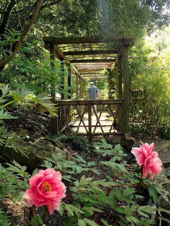 University Of Bristol Botanic Garden See Around Britain