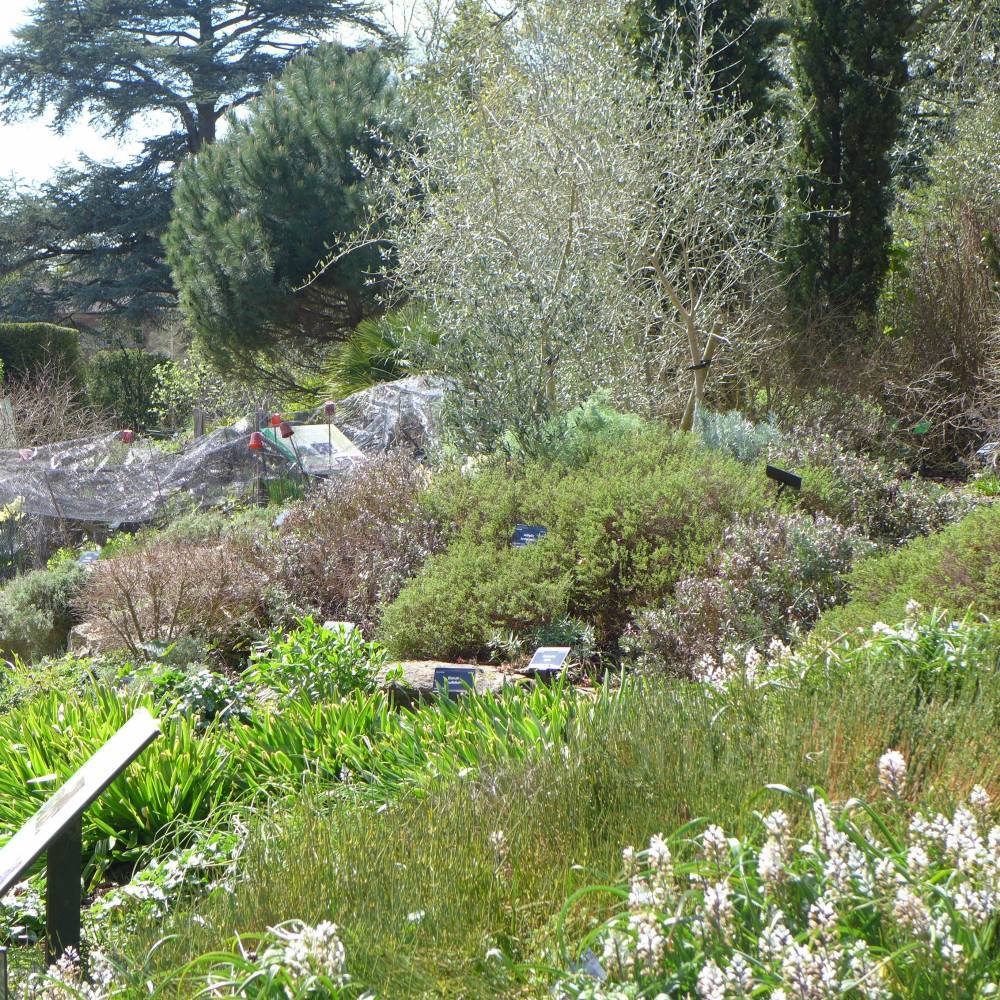 University Of Bristol Botanic Garden See Around Britain