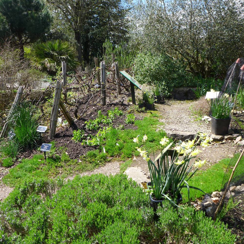 University Of Bristol Botanic Garden See Around Britain
