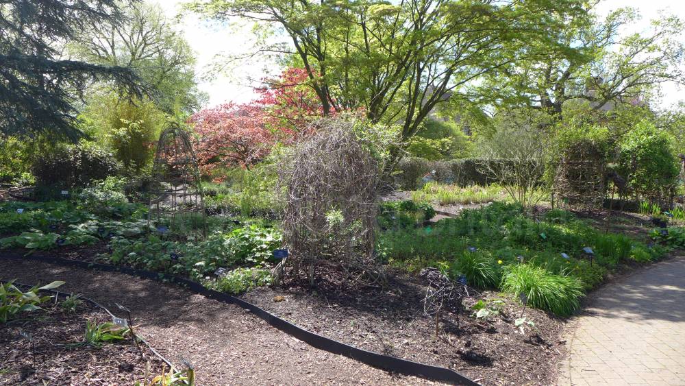 University Of Bristol Botanic Garden See Around Britain