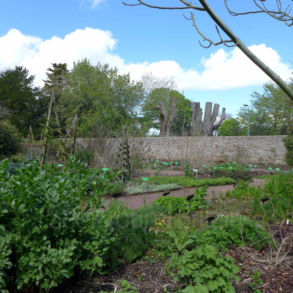 University Of Bristol Botanic Garden Whats On Bristol The Bristol