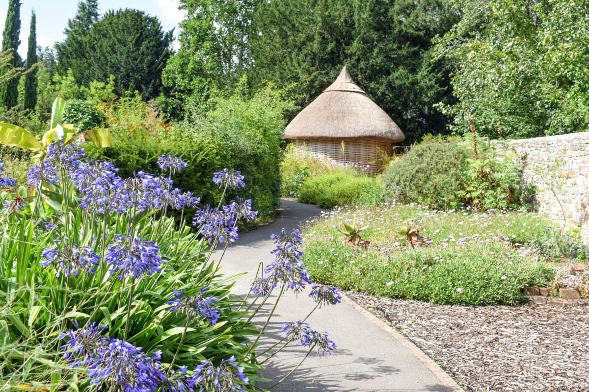 20 University of Bristol Botanic Garden Ideas You Should Check SharonSable