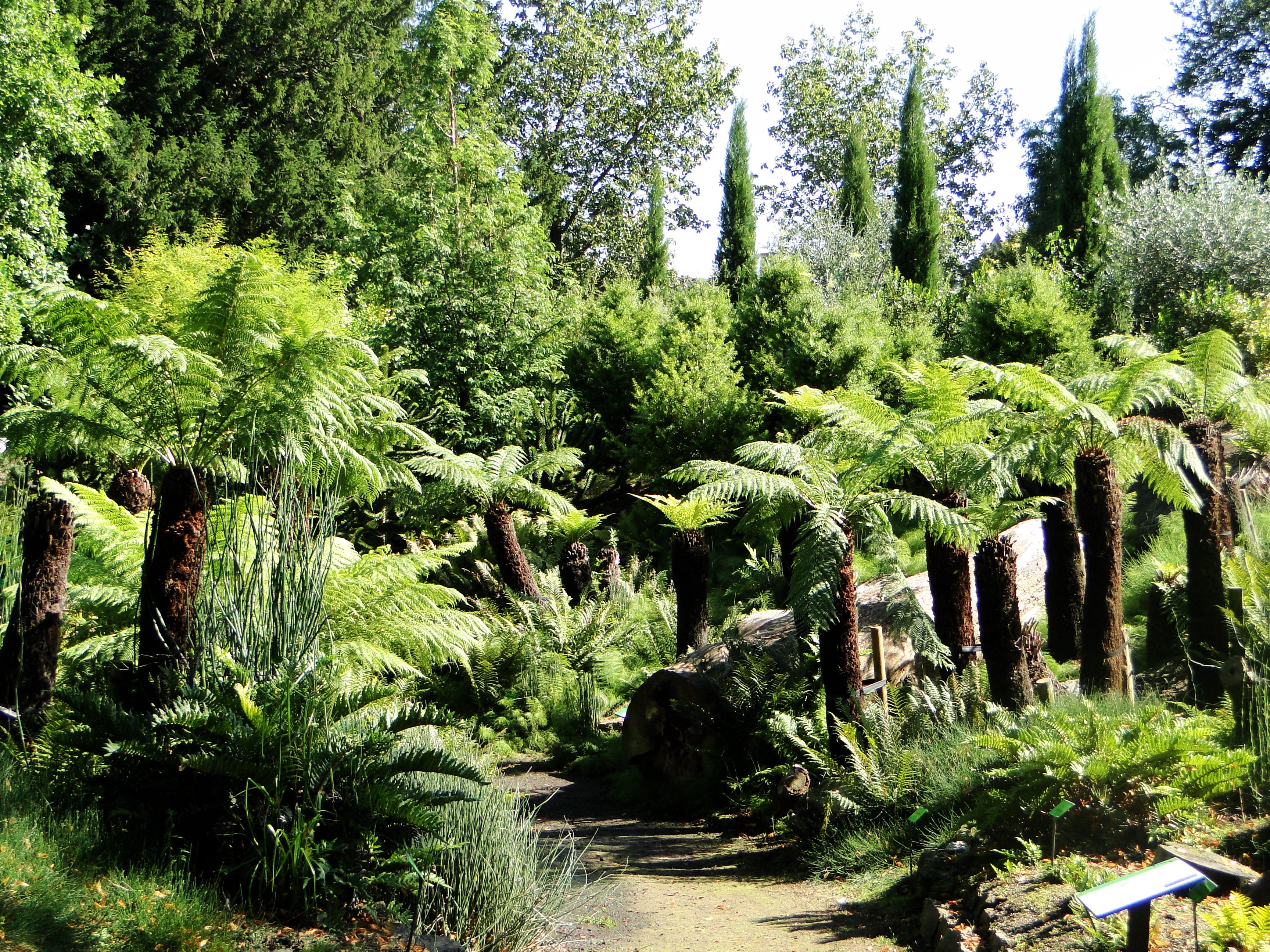 Bristol Garden