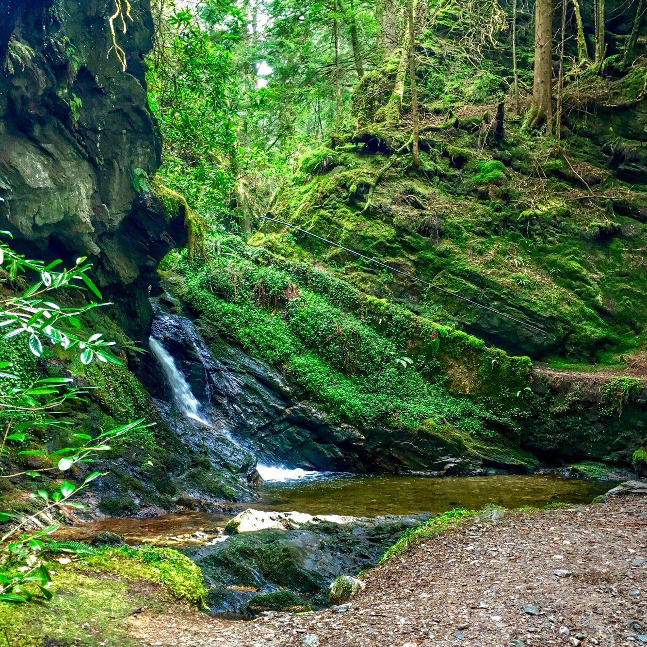 Benmore Botanic Garden Argyle