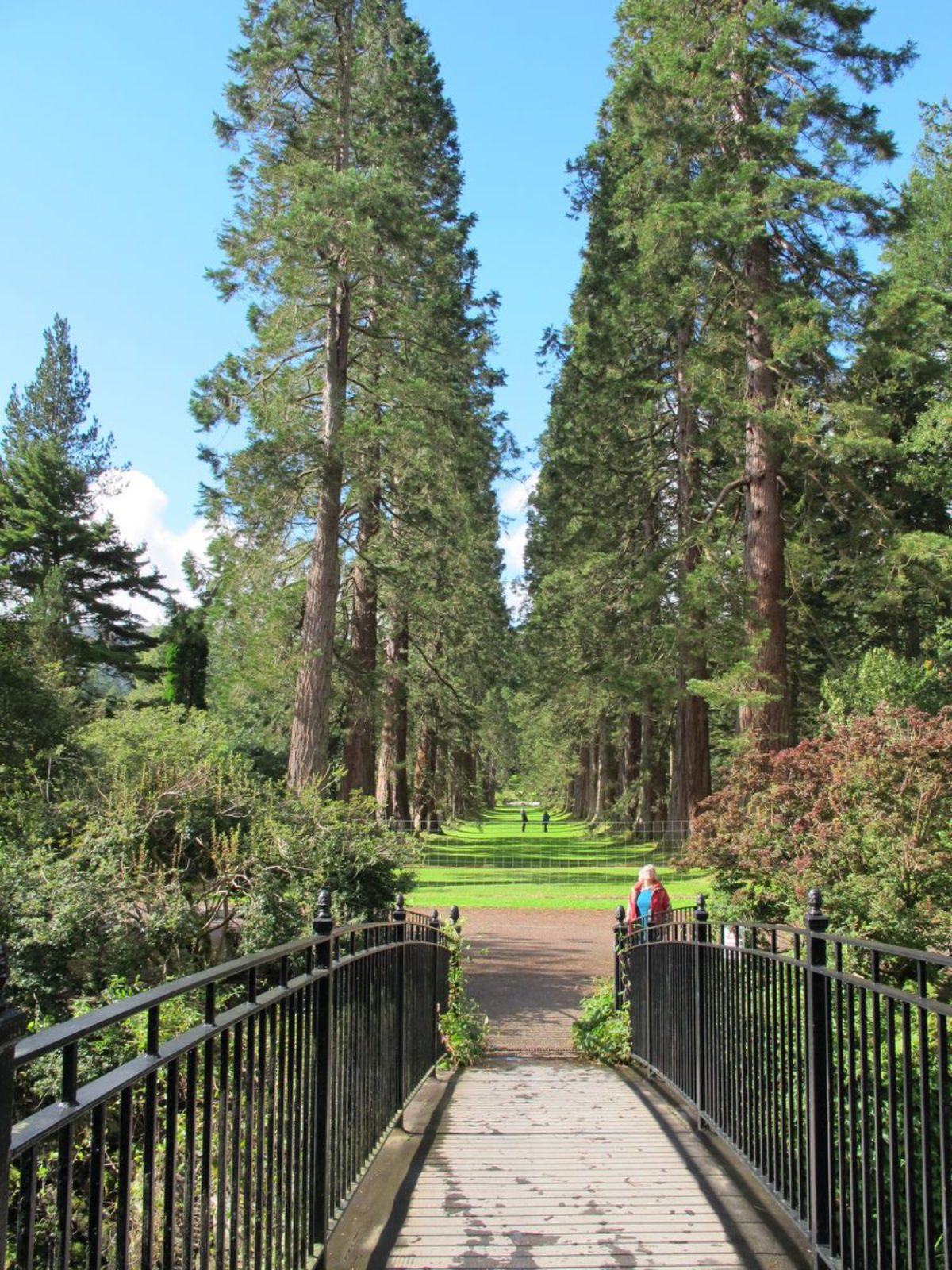 Scotland Botanical Gardens