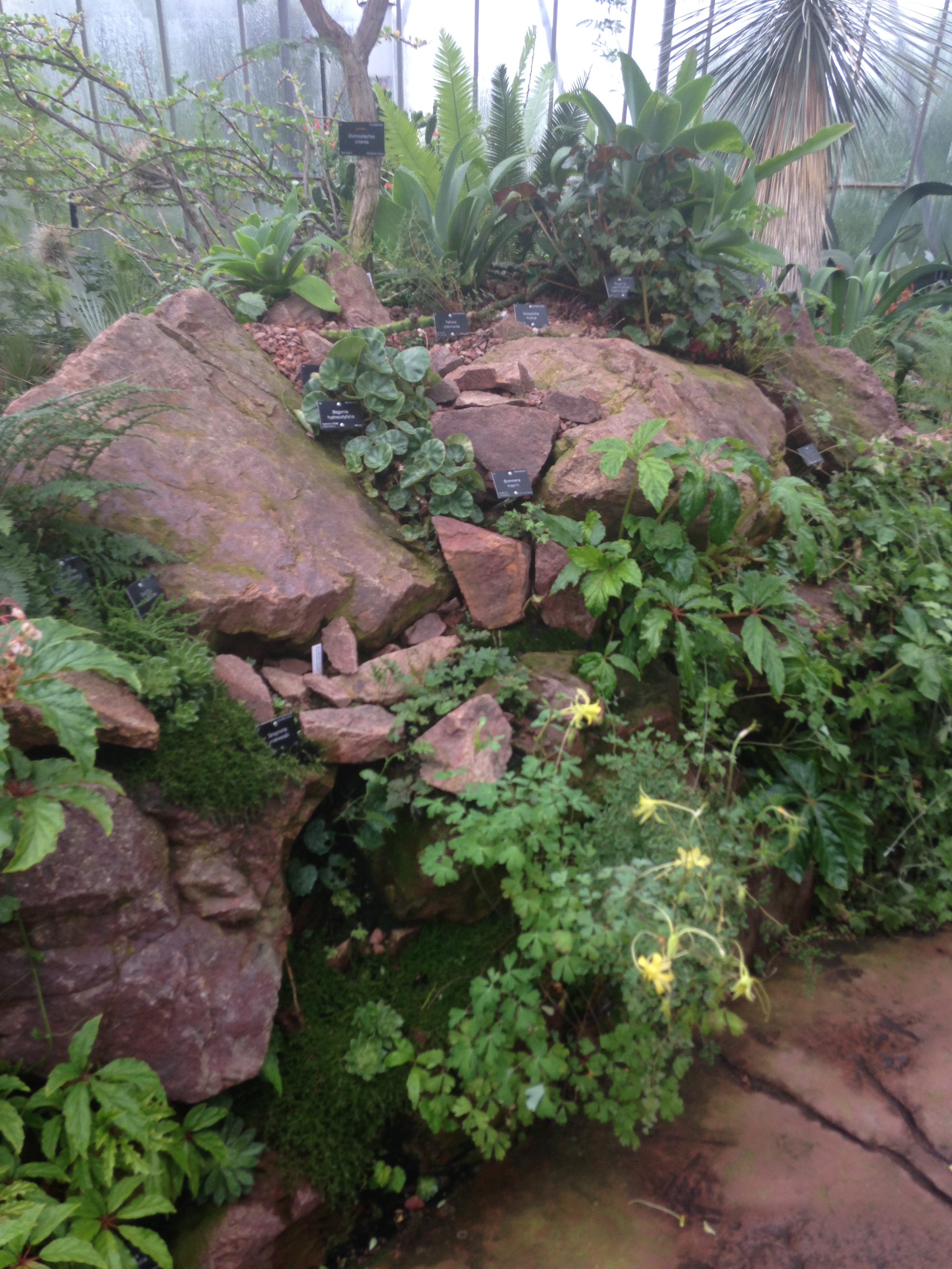 Benmore Botanic Garden