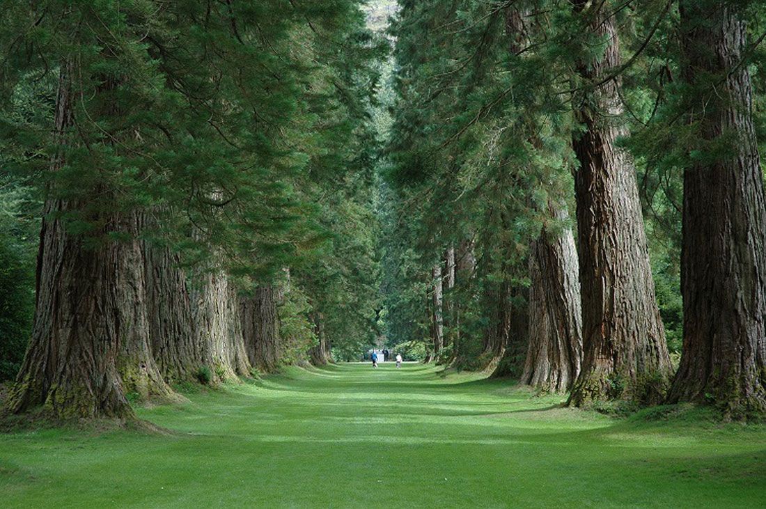 Benmore Botanic Garden Dunoon Scotland Botanical Gardens