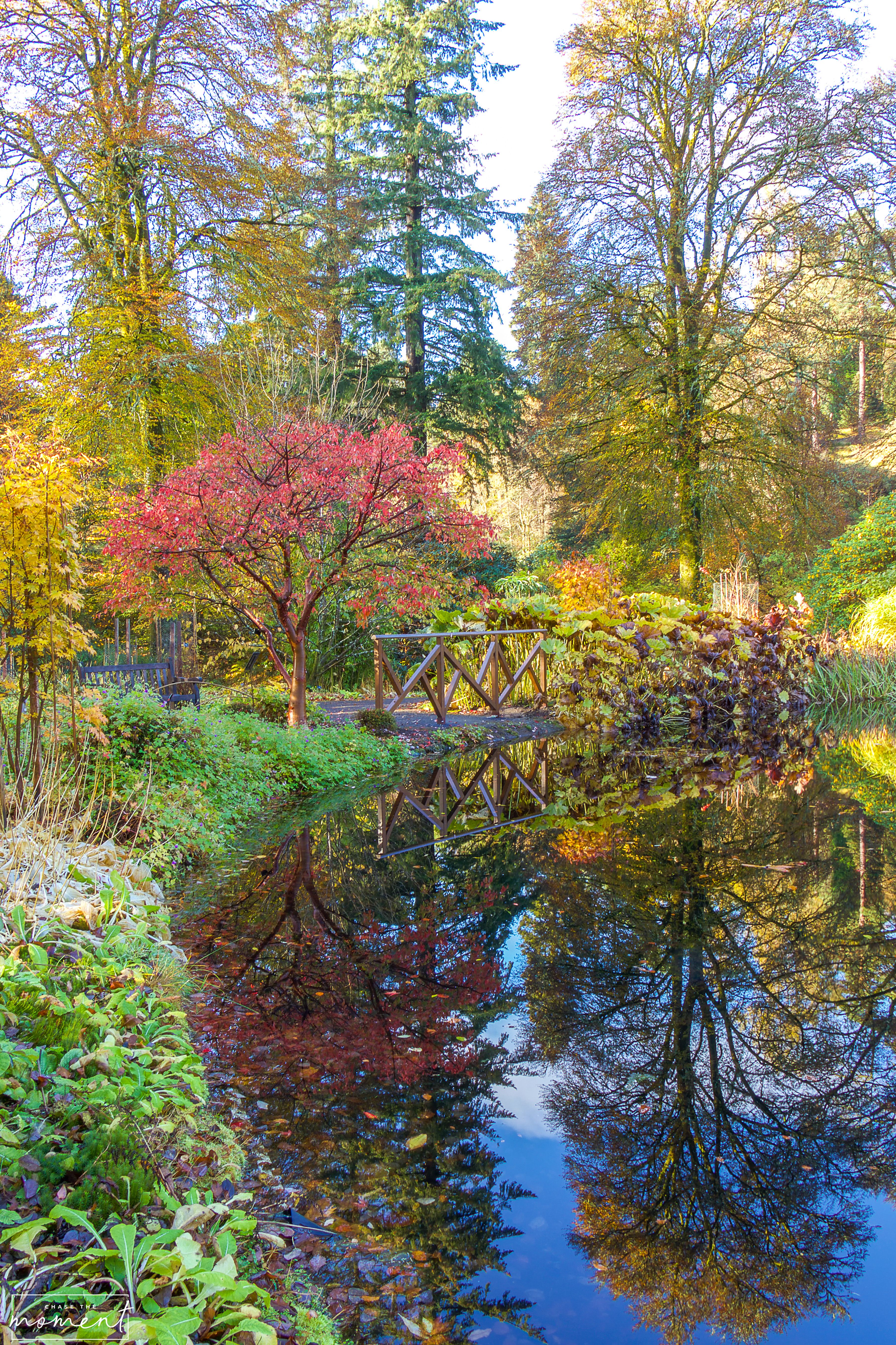 Benmore Botanic Garden