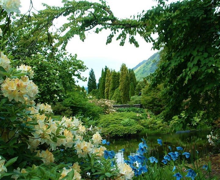 Benmore Botanic Garden