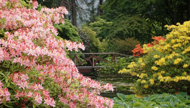 Benmore Parks