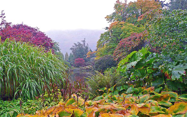 Benmore Parks