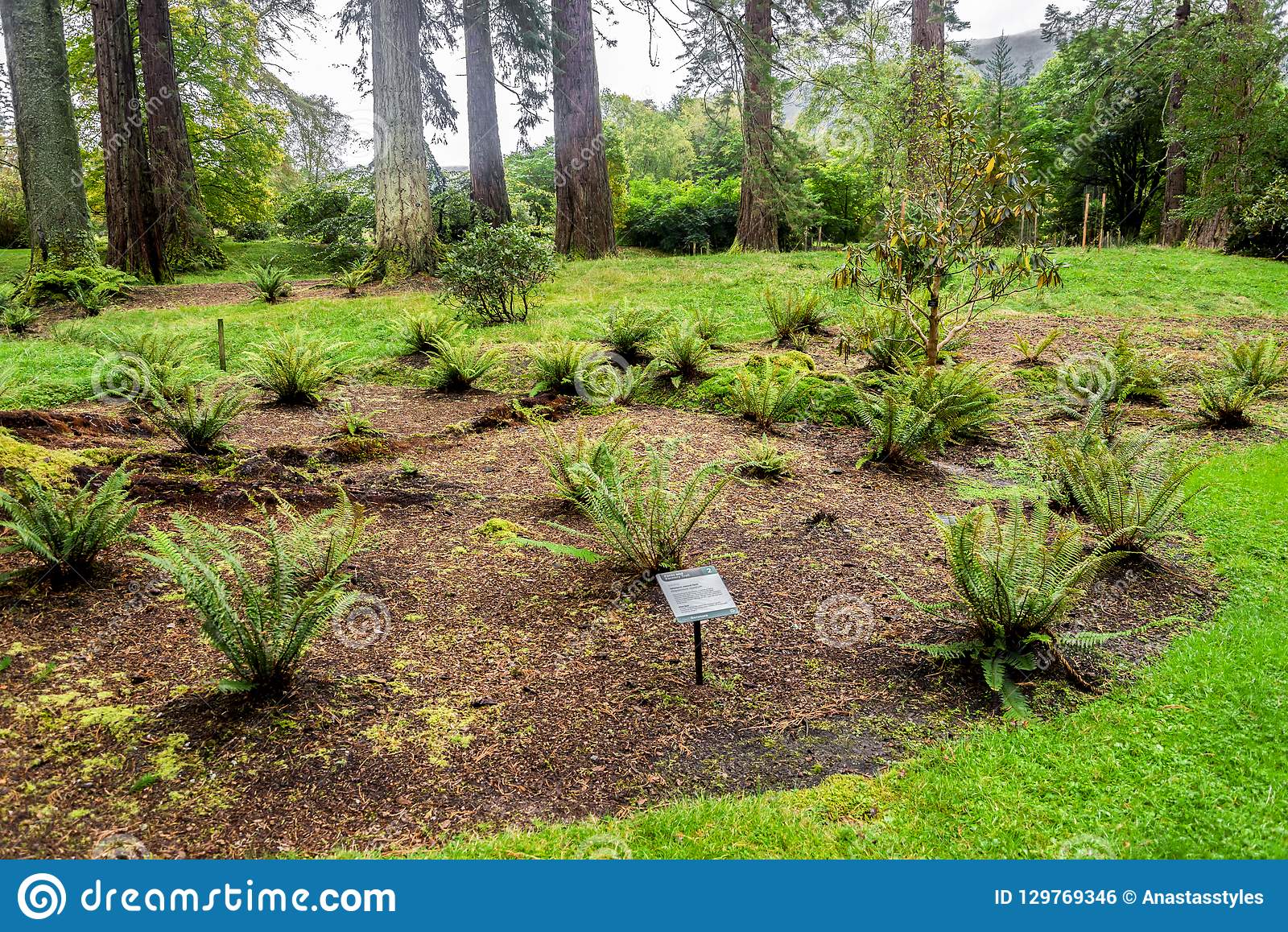 Benmore Botanic Garden