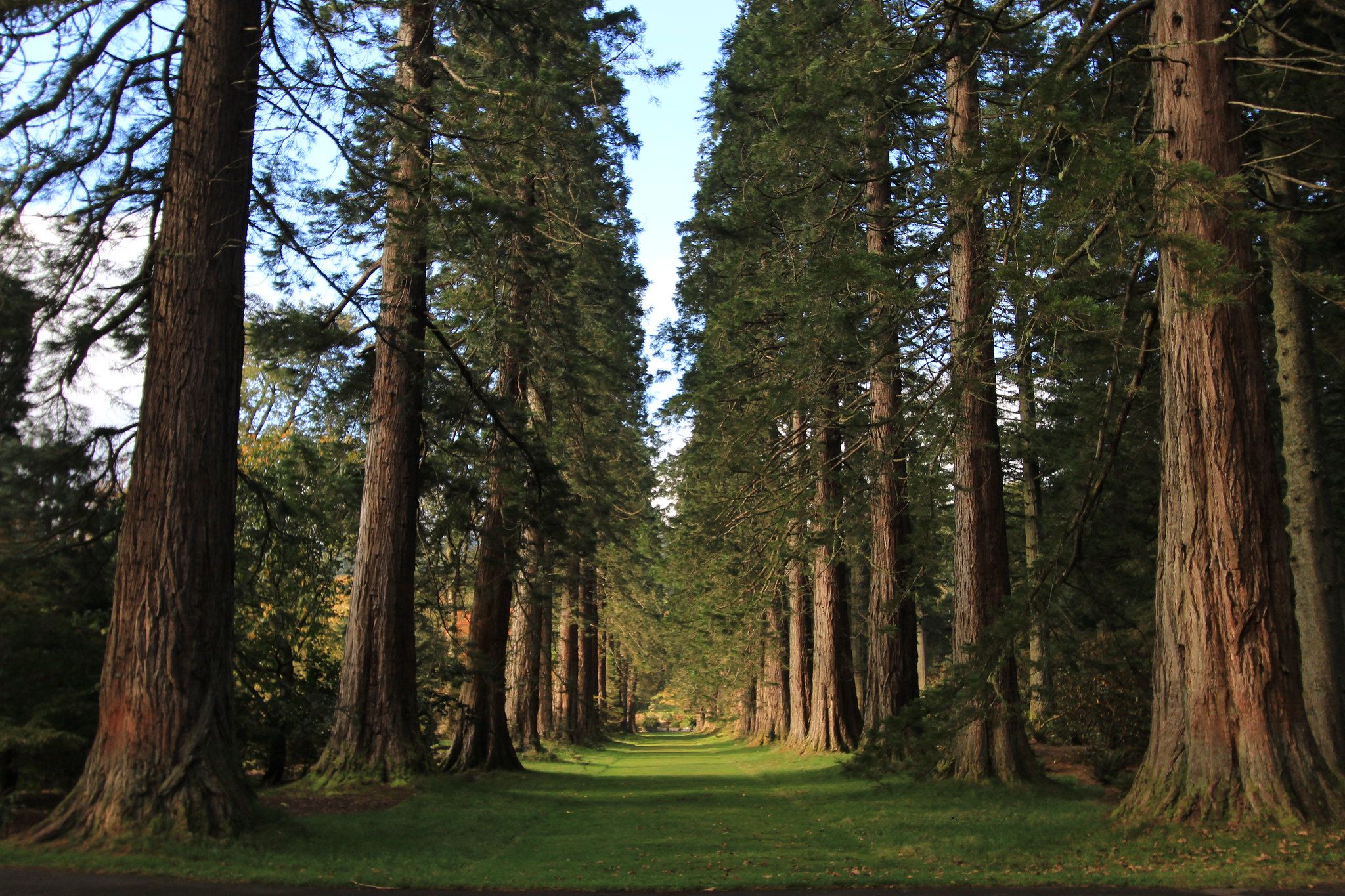 Royal Botanical Gardens Edinburgh