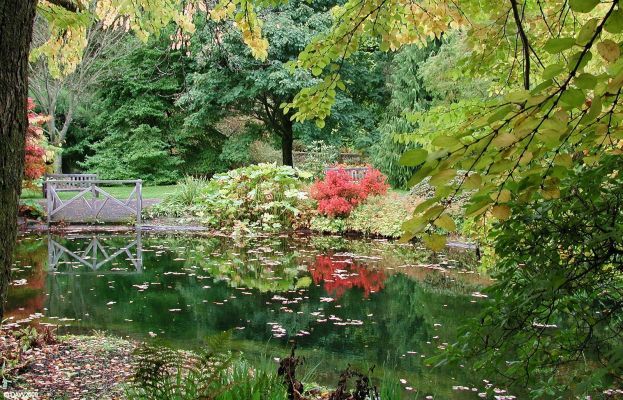 Scotland Botanical Gardens