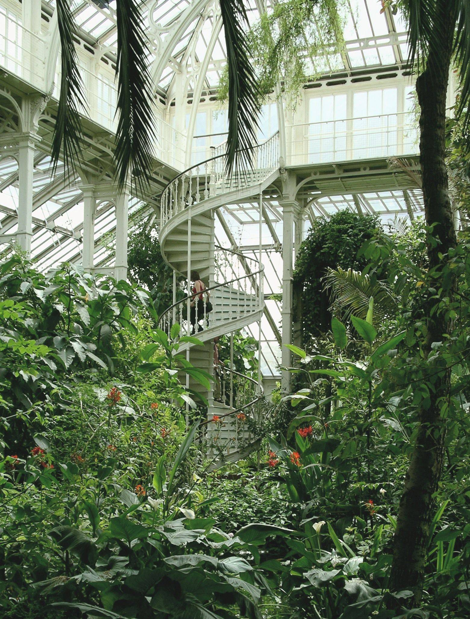 A Victorian Terrace Glasshouse