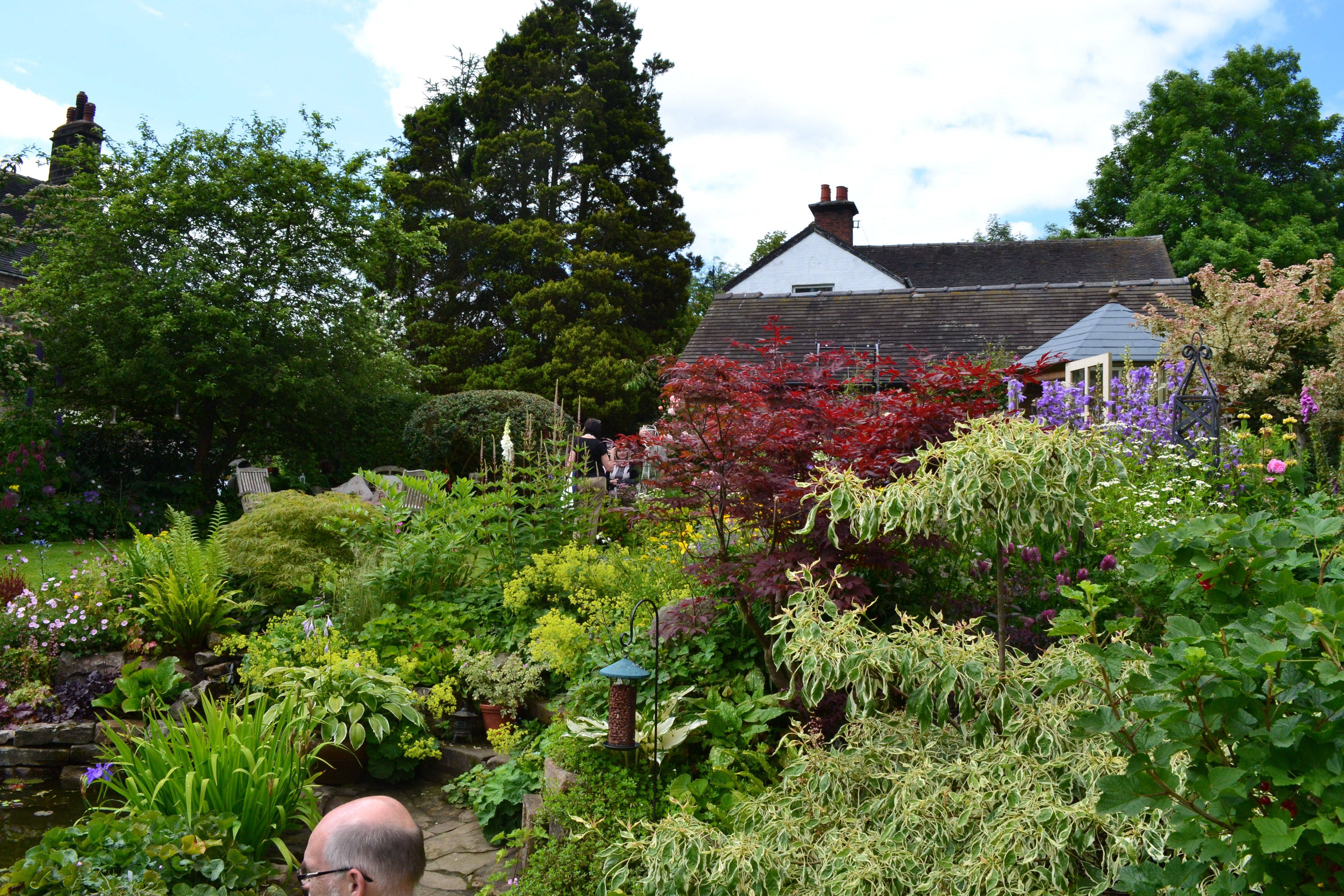 Bristol Gardens Landscape Gardener