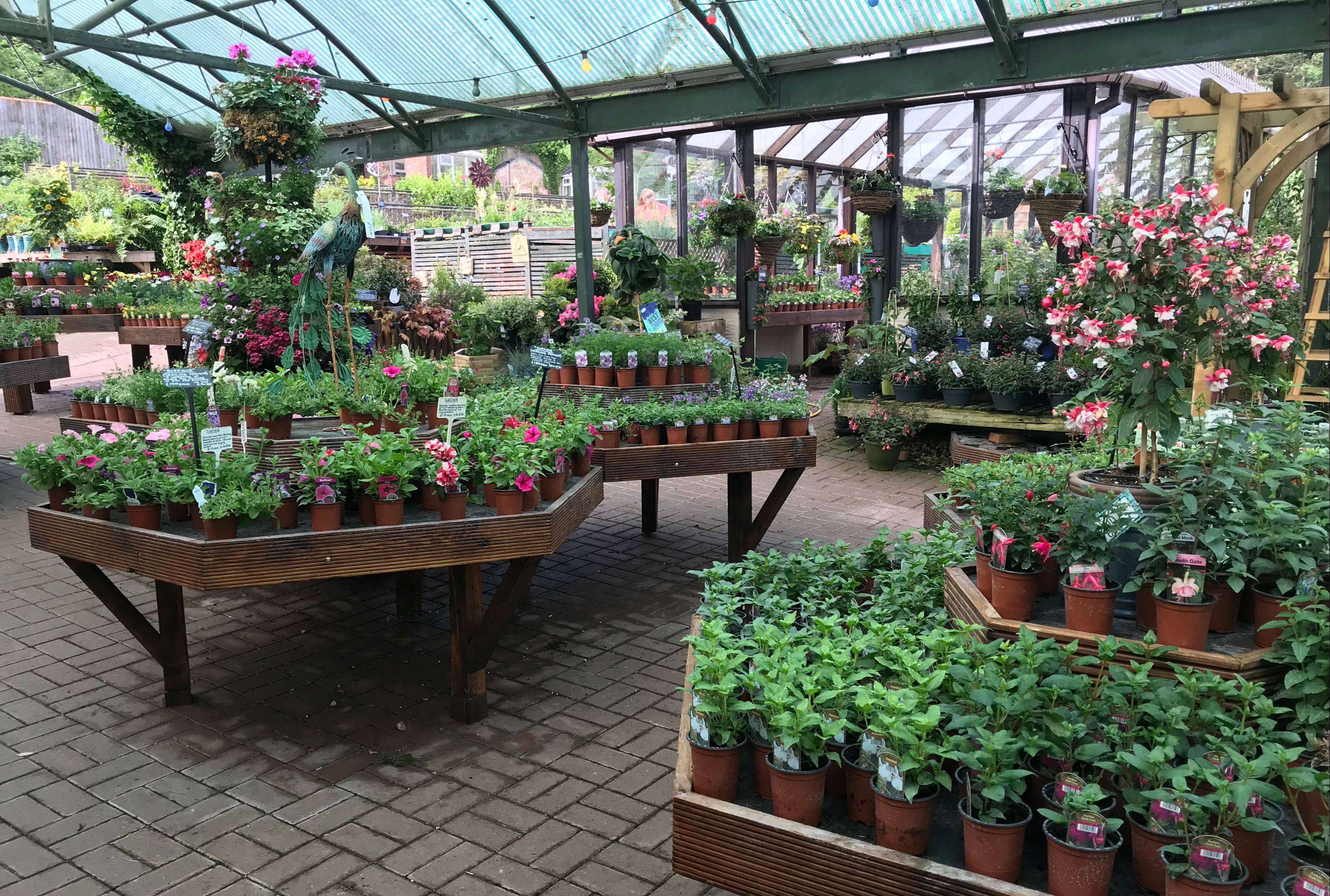 Brooklyn Ngs Open Garden