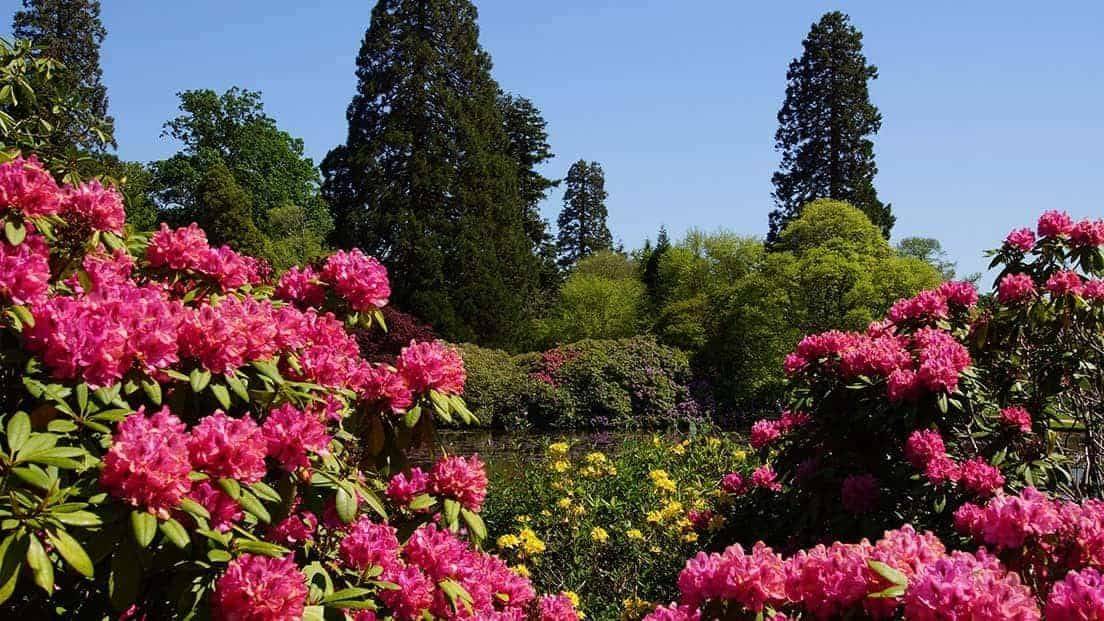 English Gardens Tour Discover London Tours