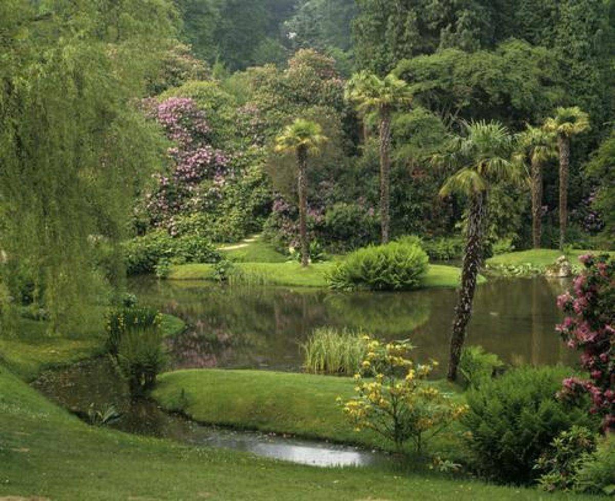 Garden Open Grounds
