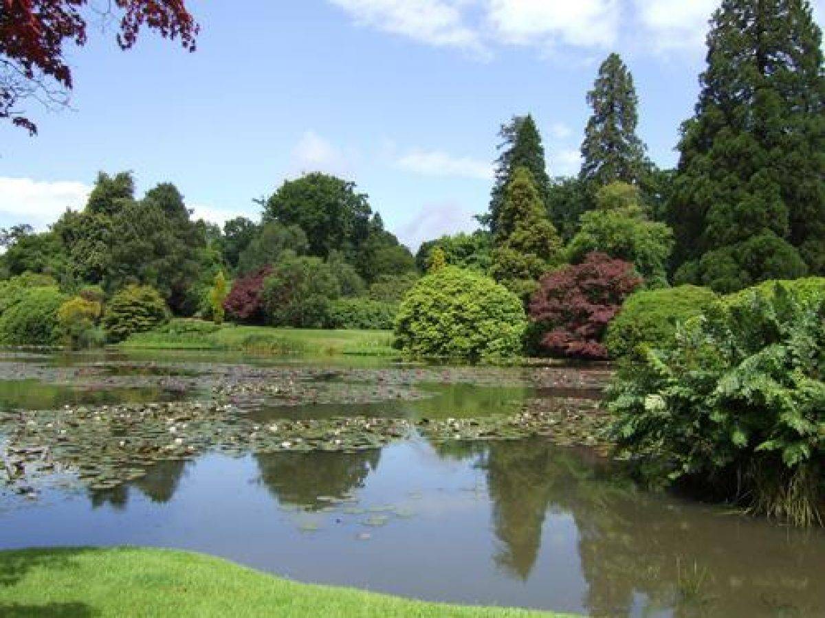 Sheffield Park Gardens