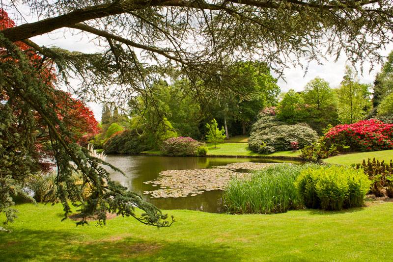 Sheffield Park Gardens
