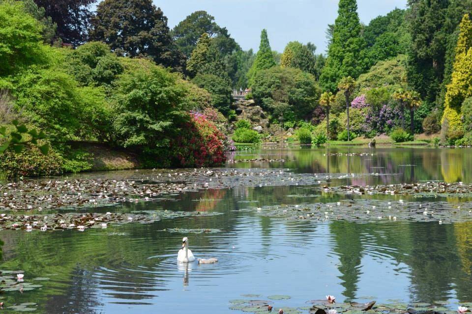 Sheffield Park Gardens