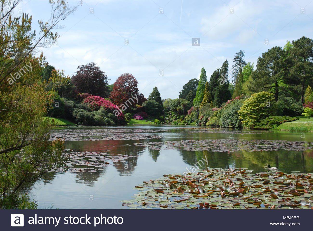 Sheffield Park Gardens