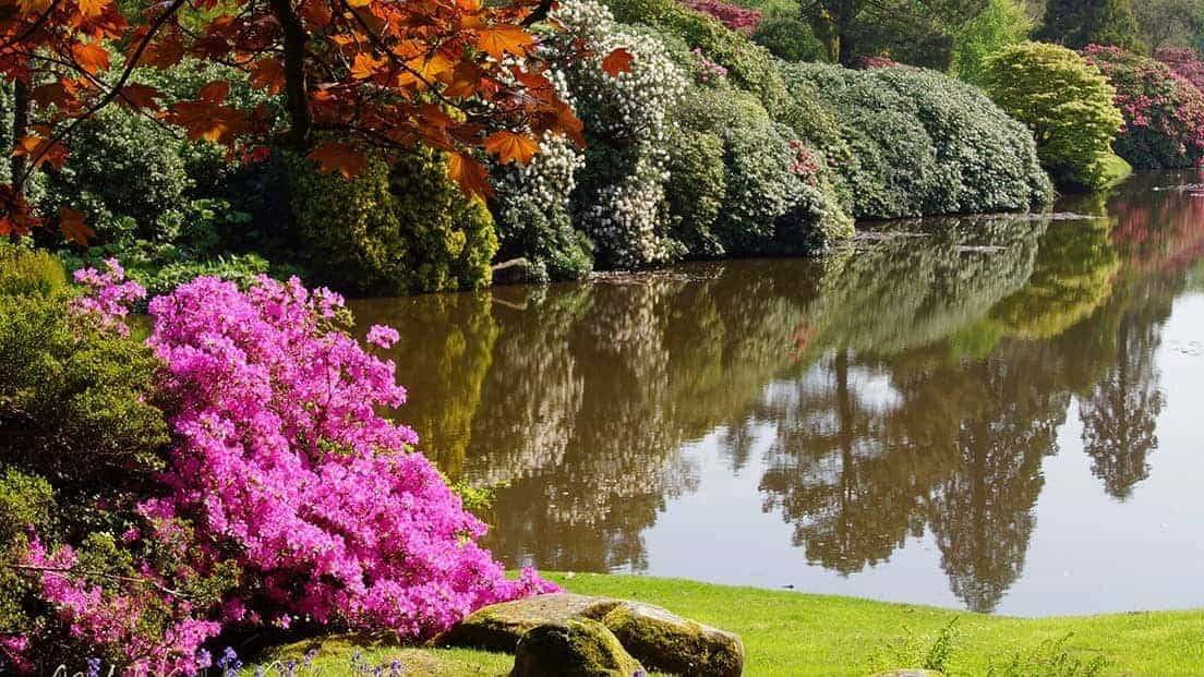 Sheffield Park Gardens Sheffield Park