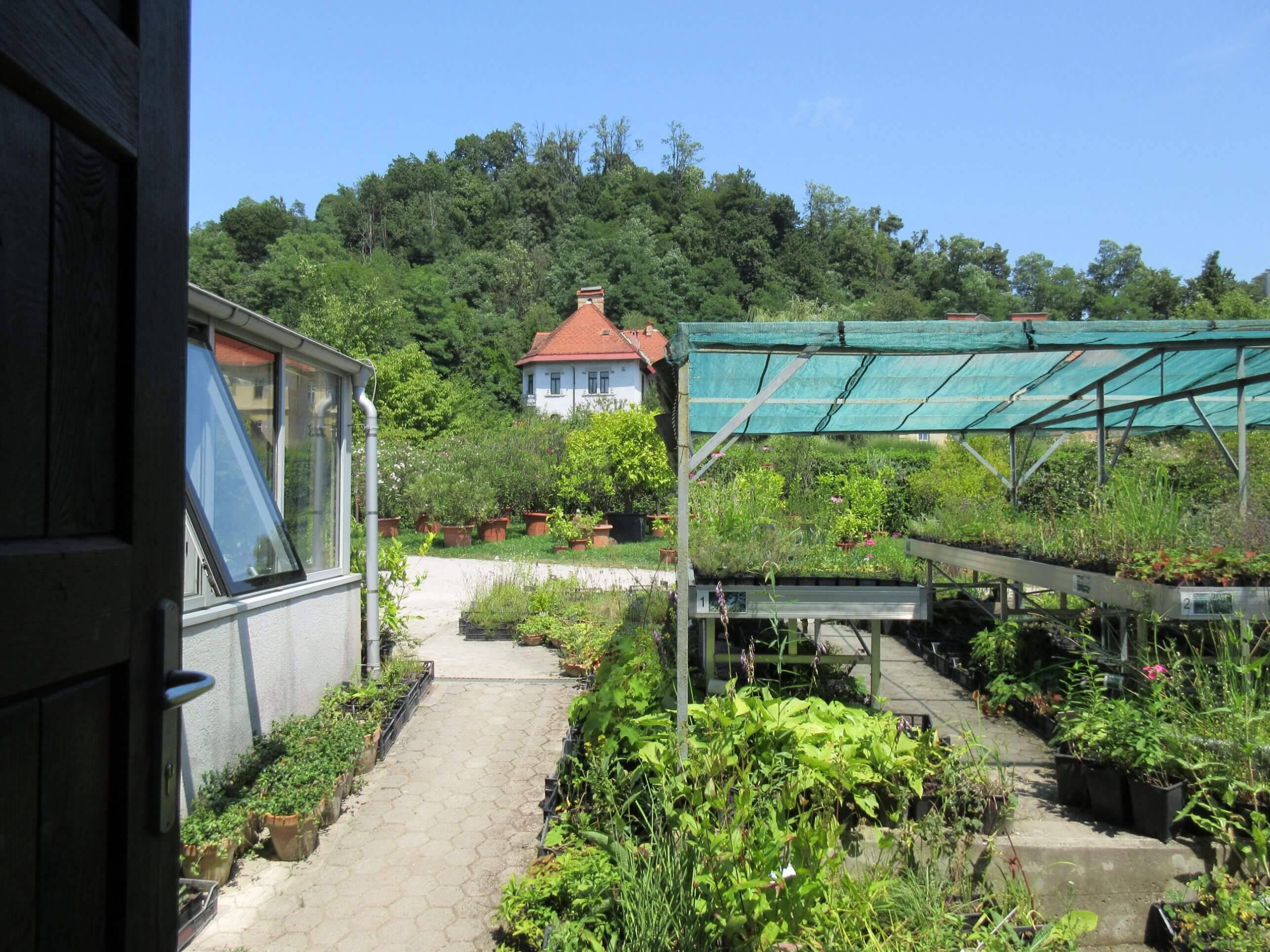 Botanicalgardenbotaniska Tradgarden Gothenburg Garden Bridge