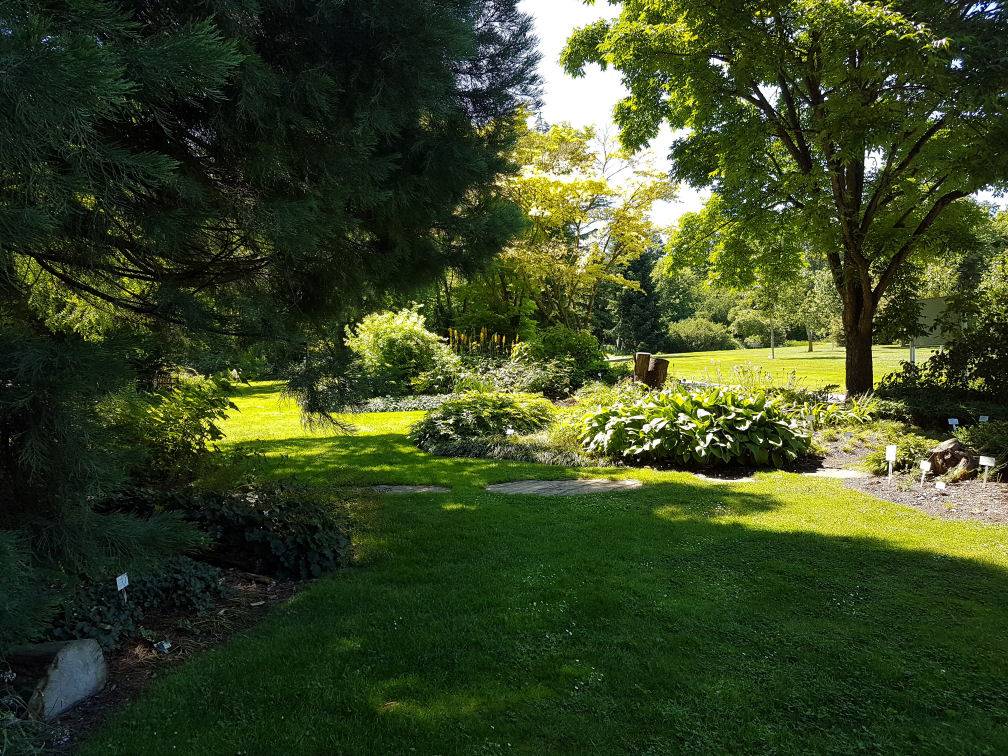 20 Regensburg Uni Botanical Garden Ideas You Must Look SharonSable