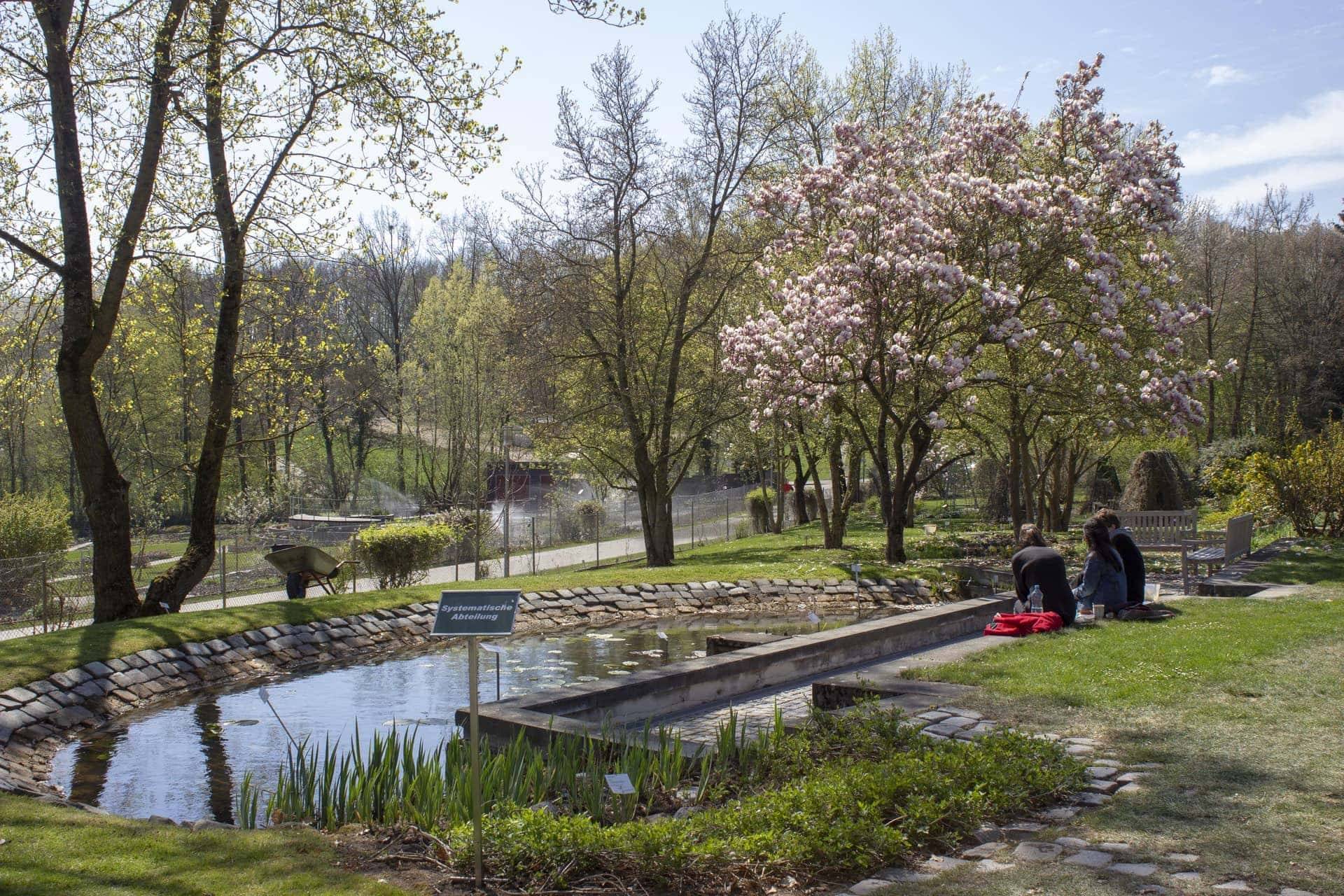 20 Regensburg Uni Botanical Garden Ideas You Must Look SharonSable