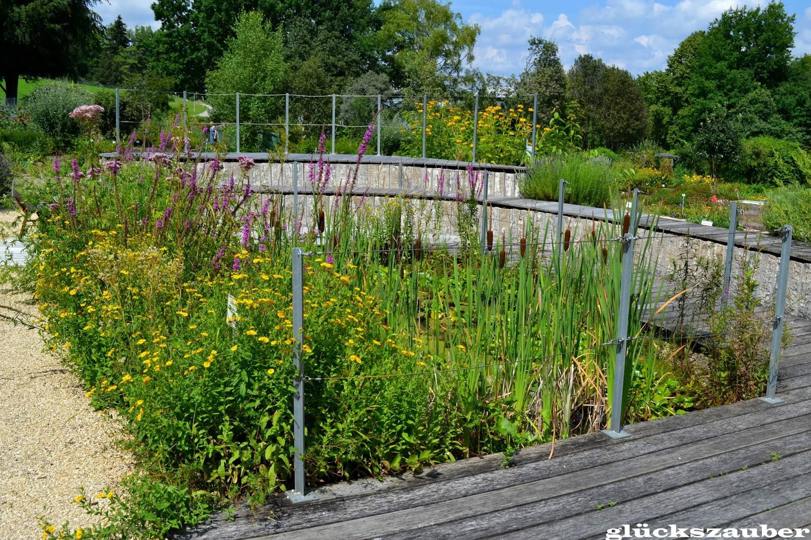 Botanischer Garten Regensburg Gartenrundgang Universitat Regensburg