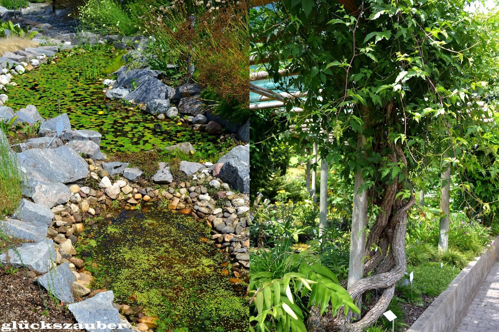 Botanischer Garten Regensburg Gartenrundgang Universitat Regensburg