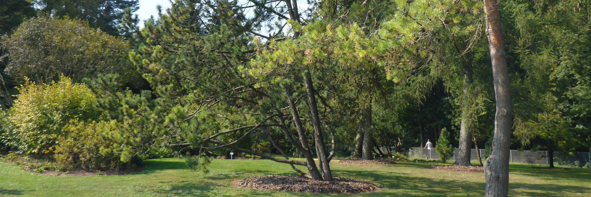 Botanischen Garten Der Uni Regensburg Ogv Wolfsegg