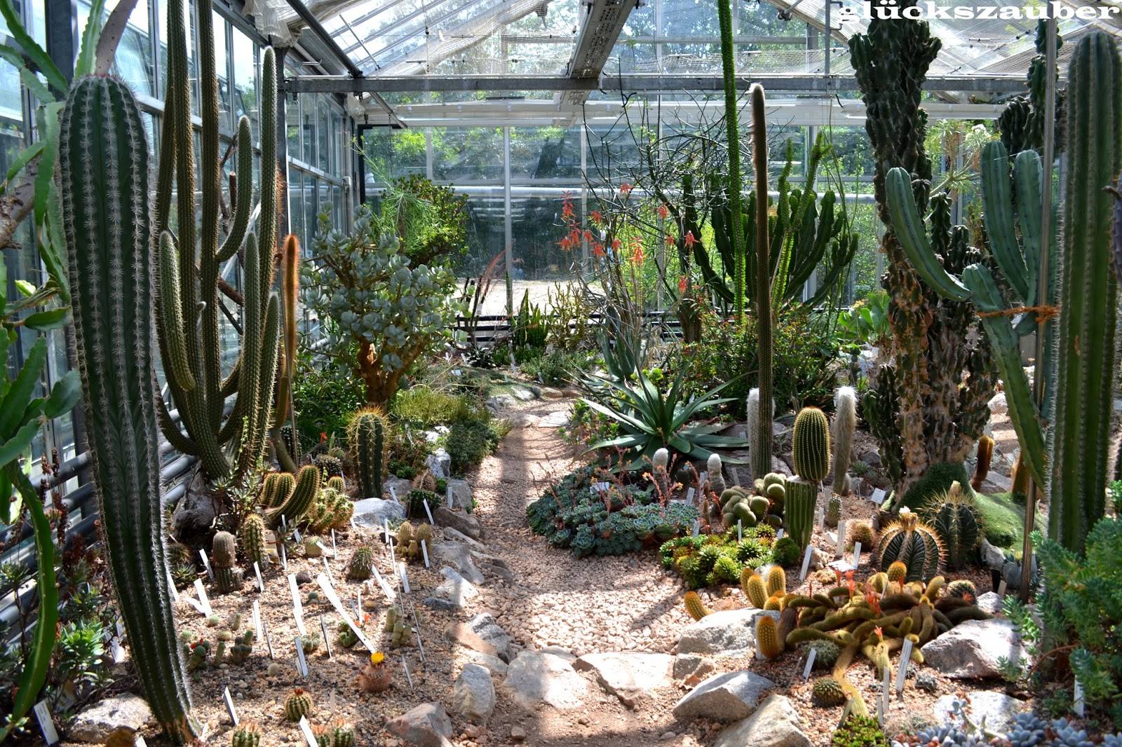 20 Regensburg Uni Botanical Garden Ideas You Must Look SharonSable