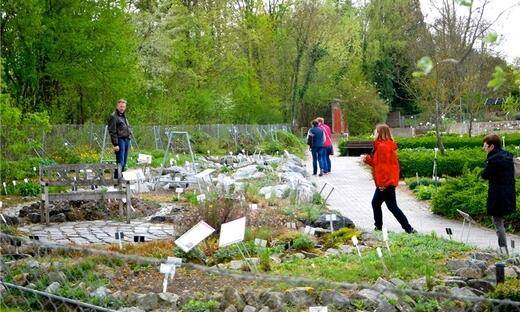 20 Regensburg Uni Botanical Garden Ideas You Must Look SharonSable
