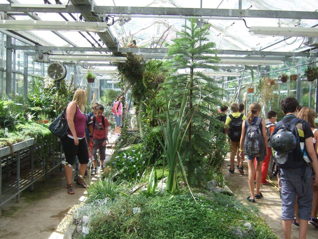Botanischer Garten Regensburg