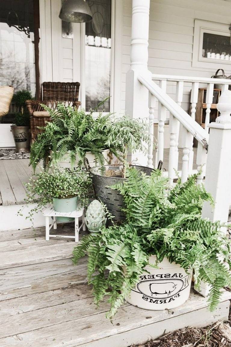 Your Ordinary Garden