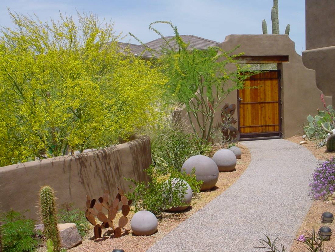 Awesome Desert Garden